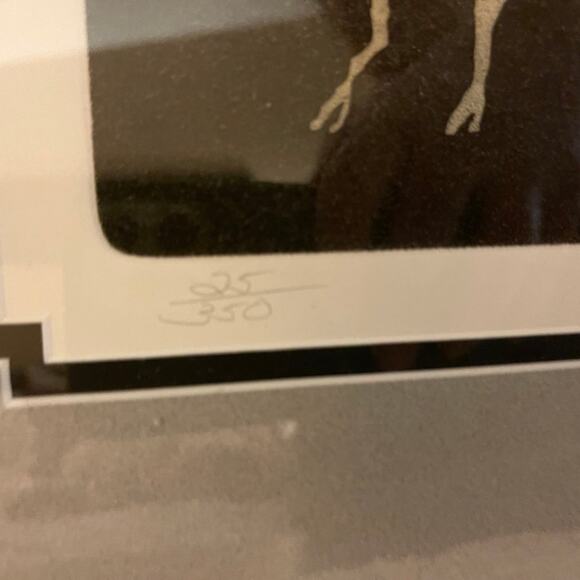 Paleolithic art art piece framed with COA - Picture 2 of 11